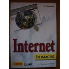 Internet in imagini :Joe Kraynac