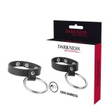Darkness Bondage-Inel Metalic pentru Penis și Testicule