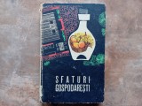 SFATURI GOSPODARESTI - Ana Popescu - N. Claudiu, 1966