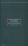 Ce ramane din Auschwitz - Giorgio Agamben