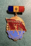 Insigna Brigadier al muncii patriotice