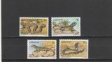 Fauna ,taratoare,Lesoto., Nestampilat