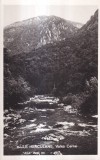 Baile Herculane. Valea Cernei (necirculata)