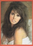 AS - C.P. RAQUEL WELCH - COLECȚIA CASA FILMULUI, NECIRCULATĂ (STAREA CARE SE VEDE)