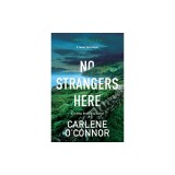 No Strangers Here: A Riveting Dark Irish Mystery