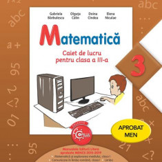 Matematică. Caiet de lucru pentru clasa a III-a - Paperback brosat - Doina Cîndea, Elena Niculae, Gabriela Bărbulescu, Olguţa Călin - Litera