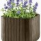 CURVER. imitatie lemn maro auriu CUBE PLANTER M