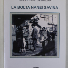 LA BOLTA NANEI SAVINA de GHEORGHE JICAREAN , 2014 , PREZINTA MICI INSEMNARI