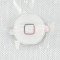 Buton meniu iPhone 3G / 3GS WHITE