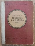 Karl Gjellerup - Pelerinul Kamanita, carte roman publicat &icirc;n 1922