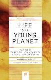 Life on a Young Planet: The First Three Billion Years of Evolution on Earth