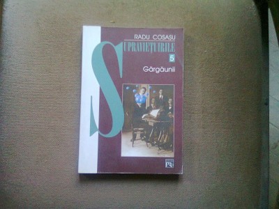 GARGAUNII - RADU COSASU foto