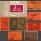 OMAN FAUNA PASARI ( colita ndt. + serie dt.) MNH