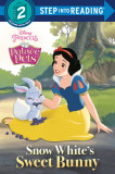 Snow White&#039;s Sweet Bunny (Disney Princess: Palace Pets)