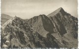 AMS# - FOTOGRAFIE FAGARAS - NEGOIUL NECIRCULATA