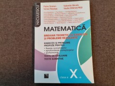 VALENTIN NICULA PETRE SIMION MATEMATICA PENTRU CLASA A X AEXERCITII SI PROBLEME REZOLVATE BREVIAR TEORETIC