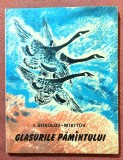 Glasurile pamantului. Ilustratii de N. Cearusin. Editura Ion Creanga, 1978 - I. Sokolov-Mikitov