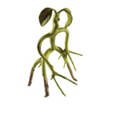 Figurina Animale Fantastice articulata, Bowtruckle Friend, editie de colectie, 18 cm