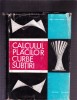 CALCULUL PLACILOR CURBE SUBTIRI