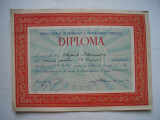 Diploma RPR Comisia Centrala de Organizare a Spartachiadei Tineretului, 1957