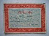 Diploma RPR Comisia Centrala de Organizare a Spartachiadei Tineretului, 1957