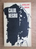 Stelian Gruia - Calul negru (1983)