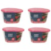 Set 4 Dezumidificatoare Red Berries, 250 g, Oem
