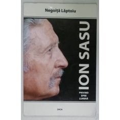 ION SASU , PRIVIND SPRE LUMINA , ALBUM DE ARTA , 2005