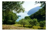 Tablou Canvas, "Vedere spre lac și dealuri verzi", Verde, Liniște, Lac, Munte, Peisaj, Natură, Armonie, Frumusețe, 39 x 26 cm, CMCLASS