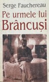 Serge Fauchereau, Pe urmele lui Br&acirc;ncuşi, Univers Enciclopedic
