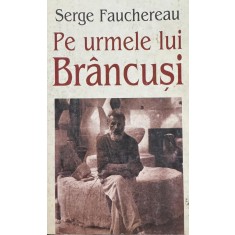 Serge Fauchereau, Pe urmele lui Br&acirc;ncuşi
