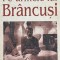 Serge Fauchereau, Pe urmele lui Br&acirc;ncuşi