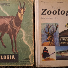 2 Manuale Zoologie, anii '50-'70