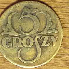 Polonia - moneda de colectie raruta - 5 groszy 1923 - varianta din alama !