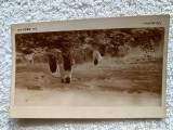 carte postala reproducere arta .Artur Verona , La seceris