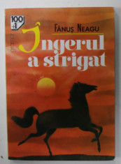 INGERUL A STRIGAT de FANUS NEAGU , 1994 foto