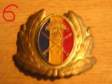 QW14 - Emblema militara / cuc - uscat - anii 1990 - piesa de colectie