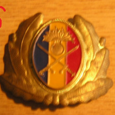 M3 C16 - Emblema militara - anii 90 - uscat