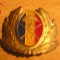 QW14 - Emblema militara / cuc - uscat - anii 1990 - piesa de colectie