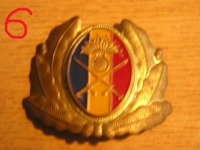 QW14 - Emblema militara / cuc - uscat - anii 1990 - piesa de colectie