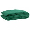 VidaXL Plasă de remorcă, verde, 2,5x3,5 m, HDPE 4002086
