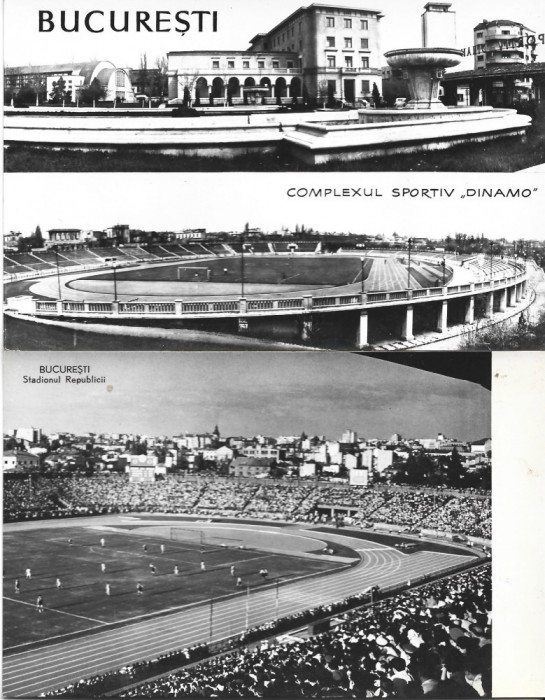 Lot 2 CPI Complex sportiv Dinamo, stadionul Republicii