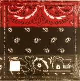 Revolutionary But Gangsta - Vinyl | Dead Prez