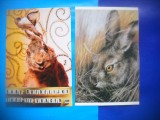 HOPCT LOT NR 427 IEPURE / IEPURI -FAUNA -2 CARTI POSTALE-NECIRCULATE, Circulata, Printata