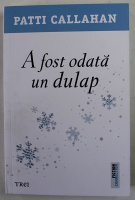 A FOST ODATA UN DULAP , roman de PATTI CALLAHAN , 2022 foto