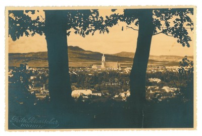 871 - BISTRITA, Panorama, Romania - old postcard, real Photo - unused foto
