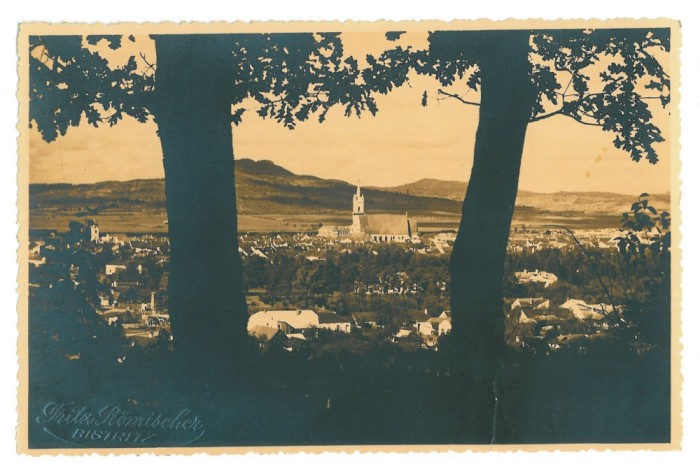 871 - BISTRITA, Panorama, Romania - old postcard, real Photo - unused