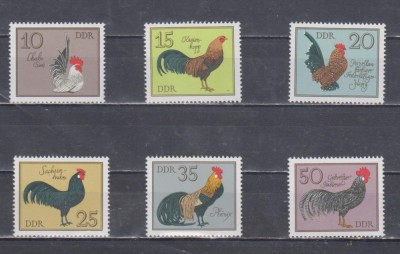 A12 S4 2 - Timbre foarte vechi - Fosta Germanie Democrata - DDR - pasari domestice foto