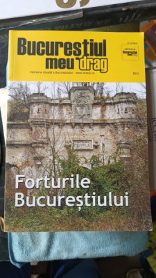 Bucurestiul meu Drag - Forturile Bucurestiului foto