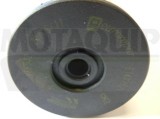 MOTAQUIP VFF542 filtru combustibil